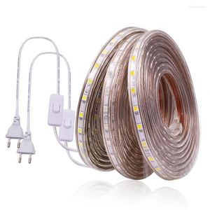 شرائط 220 فولت شريط LED مرنة الضوء SMD 60leds/M شريط شريط مقاوم للماء مصباح دافئ أبيض مع مفتاح الاتحاد الأوروبي قابس