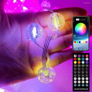 Strings USB Bluetooth Smart LED String WS2812B Lâmpada de fada de fada de fada de cobre