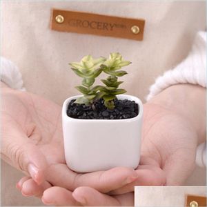 Plantadores potes design simples vasos brancos varanda criativa mini -sucent plantas cer￢mica maconha de decora￧￣o de decora￧￣o varanda vendida bem dhlry