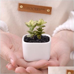 Planters Pots Simple Design White Pots Creative Flowerpot Mini Succent Plants Ceramics Pot Home Decoration Table Balcony Sold Well Dhlry