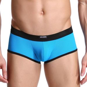 Mutande Mens Sexy Boxer Shorts Lingerie Bulge Pouch Trunk Vita bassa Pene Grandi mutandine Boxer piccoli Hip Raise