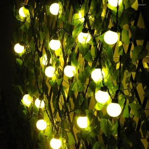 Saiten 4 cm große Kugel 4,5 m 20 LEDs Lichterkette 220 V bunte Lichterkette wasserdicht Weihnachtsbaum Party Hochzeit Dekoration Glühbirne Lampe