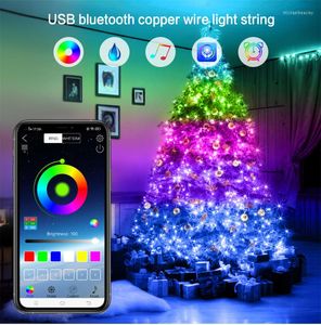 Strings LED RGB Bluetooth Fairy String Lights Garland Christmas Tree Decoration for Home ao ar livre Corte de férias de casamento ano