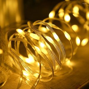 Saiten 2m 20LED Leder String Licht Outdoor Haushalt Wasserdichte Märchen Lampe Garten Kranz Weihnachten Hochzeit Dekoration