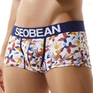 Mutande 2022 SEOBEAN Uomo Intimo Boxer Cotton Print Soft