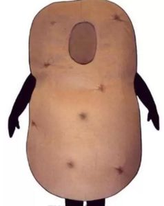 2022 new fashion Factory sale hot Custom potato mascot costume