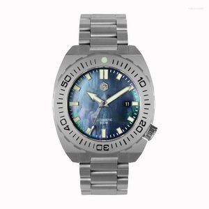 Scatole per orologi subacquee meccaniche maschili impermeabili luminose SW200 Water Ghost