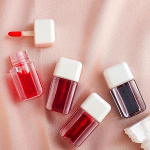 Lip Gloss Small Square Tube Powder Hidrure Moda Moda Maquia