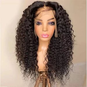 Kinky Curly Synthetic Hair Lace Front Wigs LaceFront Perruques de Cheveux Humains Wig P047