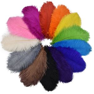 Colored Ostrich Feathers for Crafts Wedding Decoration Handicraft Accessories Table Centerpieces Carnival Plumas Decor RRA49