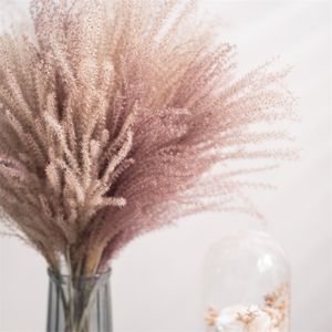 30st. Real Torked Reed Flowers Bouquet Home Wedding Decoration Table Flores Preservadas Natural Pampas Grass Decor för rum 0614