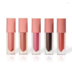 LIGH GLSS 43 KOLORY LUKA LIPSTICK Prywatna marka