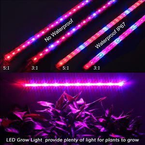 5PCS 0.5M屋内植物光防水IP68 SMD 5630 LED水族館バー12V LED 8W Grow Lights Bars Strip Hydroponic Vegatables D2.0