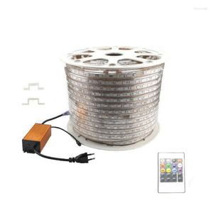 Streifen 100M LED-Streifenlicht RGB mit IR-Fernbedienung 220V 60 LEDs/m EU-Kabelstecker Flexibler Streifen IP67 Express