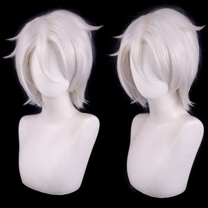 Nuova popolare parrucca cosplay di capelli finti capelli corti invertiti argento bianco argento