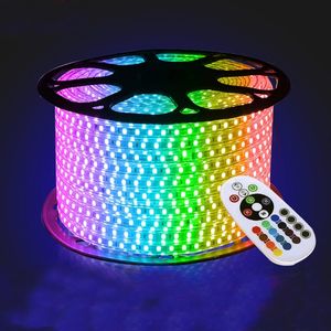 RGB LED -remsa 220V 110V Multicolor med IR -fjärrkontroll Vattentät flexibelt utomhusband för trädgårdslampa
