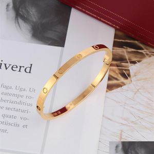 Bangle High Edition Cacciavite Slim Love Bracciali Braccialetti Per Donna Uomo Acciaio Al Titanio 316L Cubic Zirconia 16Cm 18Cm Designer Ebreo Dhftw