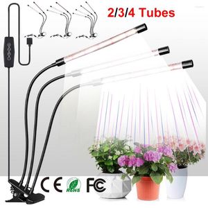 Luzes de cultivo LED LUZ BRANCO ESPECTURO COMPLETO USB LAMP-ON Phytolamp for Greenhouse Plants Pedrações Flores Caixa Interior D30