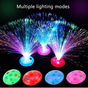 2023 night light Optical Fiber Lamp Starry Sky Flower Three Modes Adjustable Toy Factory Wholesale price