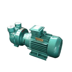 DAMING Universal Pump 2,35 kW Liquid Ring Vakuumpump 2BV2070 med g￤ngade sug- och avgassportar Kontakta oss f￶r att k￶pa