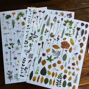 Prezent na bazie soli światła retro -plantka papierowy papier drukujący tkanina scrapbook DIY Crafts Po deko naklejki