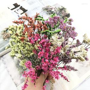 Fiori decorativi Fiore eterno naturale Erba di cristallo Confezione regalo fai da te Bouquet secco Vero con