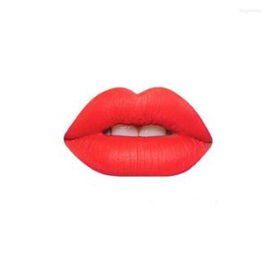 Szminka kolorów długotrwały wodoodporne usta Makeup Matte Velvet Lip Liquid Gloss Pencil