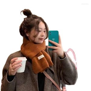 Schals koreanischer Markenstil Schal Winter Damen gestrickt