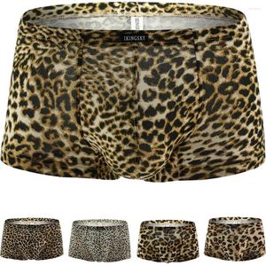 Underbyxor Ikeksy herr Leopard Boxer Pouch Trunk Underwear Low Rise Mens Under trosor