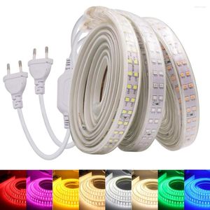 Strips 220V LED Strip IP67 Waterproof High Brightness Flexible Light Blue Pink Red Green White 2835 1m-100m