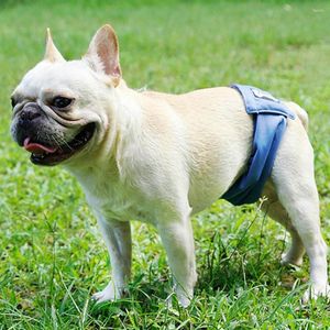 Dog Apparel Pet Diapers Pants Water Absorbing Anti-harassment Breathable Male Dogs Sanitary Panties For Four Seasons