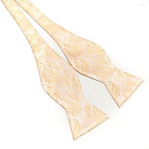Bow Ties HOOYI Fashion Bowties Self Tie Pattern Men's Floral Butterflies Necktie