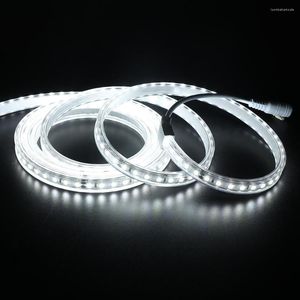 Streifen 5 m LED-Streifenlicht mit DC SMD2835 120 LEDs/m Rohr wasserdicht 12 V superhelles 2835-Band warmweiß/weiß