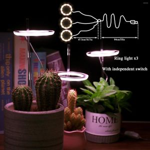 GROEP LICHTEN LED STRIP VERLICHTING USB Angel Ring Lamp Garden Bevorder groei gemakkelijk te gebruiken Multicolor timingfunctie Plantingslampen