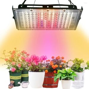 Grow Lights 50W LED Işık Fişi ile Full Spectrum Bitki Büyüyen Lamba Sera Hidroponik Çiçek Tohumları