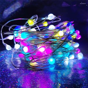 Strings LED Fairy Lights 10m USB String Remote Control WS2812B SK6812 Pixels RGB para decorações de Natal em casa