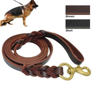 Collari per cani Guinzaglio in pelle intrecciata Guinzaglio da addestramento per animali domestici per cani di taglia media Clicker regalo pastore tedesco