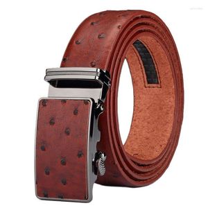 Belts Designer Men's Leather Faux An Ostrich Striped Strap Male Metal Automatic Buckles Belt Mens N41
