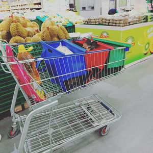 Boodschappentassen trolley herbruikbare tas met koeler opvouwbare zware duty grote shopper supermarkt supermarkt tote bolsas de tela