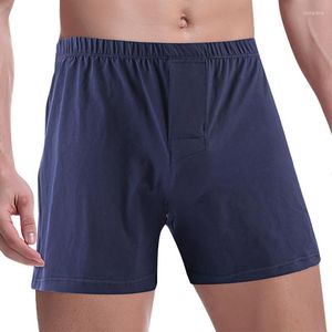 Underpants Men Casual Loose Boxer Shorts Tracksuit Seamless Breatahble Underwear Trunks Loungewear Homewear Briefs Panties