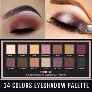 Eye Shadow Qi Färgögonskugga palett utgör jorden kosmetisk glitter vattentät långvarig makeupverktyg för kvinnor skönhet