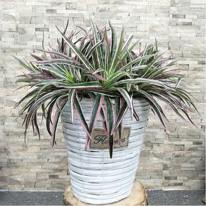 Decorative Flowers 30cm Artificial Palm Tree Tropical Coconut Grass Handle Plastic Green/Pink Leaves Real Touch Foliage For Home Office