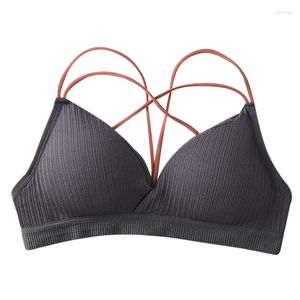 Bustiers & Corsets Cotton Girly Sexy Cross Beautiful Back Tube Top Cute Fashion All-match Hollow CamisoleBustiers
