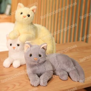 30 سم محاكاة Kawaii Cat Plush Toys Cute Hairy Cat Dolls محشو ناعم للأطفال