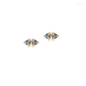 Hoop Earrings Blue Zircon Earring Fashion Jewelry Stud Piercing Cartilage Birthday Exquisite Gifts Customizable