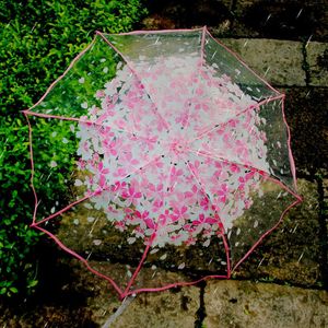 Зонты утепленные, прозрачные, складные, от дождя, вишневый цвет, пластиковые прозрачные зонты, женские зонтики