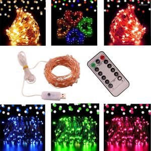 Stringhe 5M 10M String Light Argento Cooper Wire 5V USB Decorazione della festa nuziale Natale Bianco caldo Multi lucine Lampada di Natale