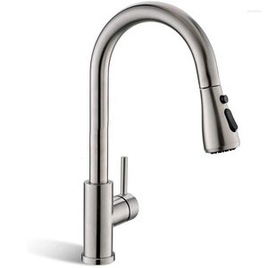 Küchenarmaturen Wasserhahn mit Pull-Down-Sprüher, gebürstetes Nickel, hoher Lichtbogen, Einhand-Spüle, Wasserleitungen