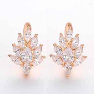Stud Earrings Leaf Shaped Cute Rose Gold Color Filled Natural Zircon Wholesale Punk Jewelry Party Wedding Women Gift