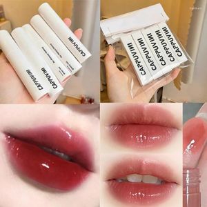 Lip Gloss White Tube Labial Water-light Mirror Glaze Not Fade Tint Lasting Moistur Cosmetic Lipstick Maquillaje TSLM1